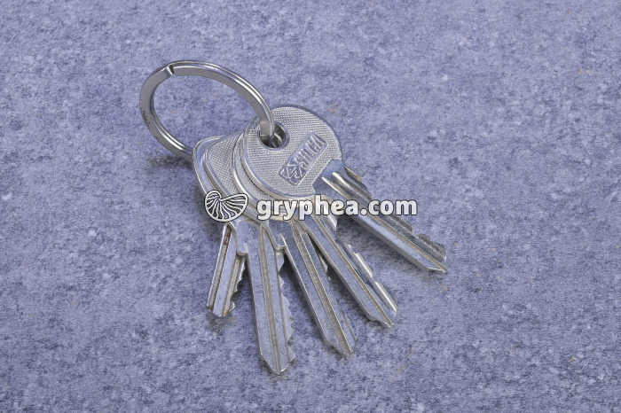 Jeu de clés - gryphea.org